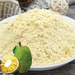 菠萝蜜粉生产商-冻干纯草本提取