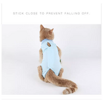 Cat Clothes Manufacturer - Surgical Sterilization Weaning Postoperative Anti-licking Summer