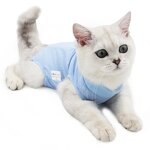 Recovery Cat Clothes Manufacturer - Surgical Abdominal Wounds Postoperative Professional