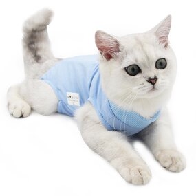 Recovery Cat Clothes Manufacturer - Surgical Abdominal Wounds Postoperative Professional