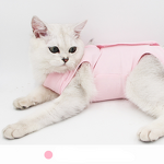 Recovery Cat Clothes Manufacturer - Surgical Abdominal Wounds Postoperative Professional