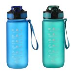 Water Bottle Manufacturer - 700ml Plastic Outdoor Sports with Straw Lid and Time Marker