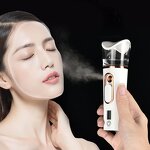 2-in-1 Facial Steamer - Ionic Portable Mini Nano Mist Body Nebulizer USB Tool
