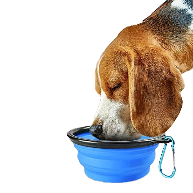 Collapsible Pet Bowl - Hot Sale Custom Logo Silicone Dog Cat Travel Feeder