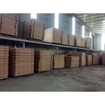 Indoor Table Tennis Table - Professional SFS 25mm Foldable Competition Waterproof Net