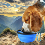 Collapsible Pet Bowl - Hot Sale Custom Logo Silicone Dog Cat Travel Feeder