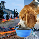 Collapsible Pet Bowl - Hot Sale Custom Logo Silicone Dog Cat Travel Feeder