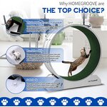 Kitty Treadmill Exerciser - Indoor Eco-friendly Plastic Small Pet Carpeted Runway Toy