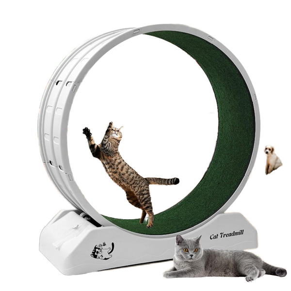 Kitty Treadmill Exerciser - Indoor Eco-friendly Plastic Small Pet Carpeted Runway Toy