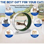 Kitty Treadmill Exerciser - Indoor Eco-friendly Plastic Small Pet Carpeted Runway Toy