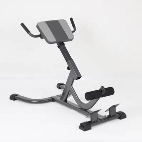 Roman Chair Bench - Steel Adjustable Lower Back Hamstring Glutes Home Gym Exercise