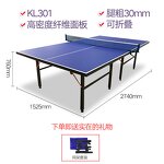 Indoor Table Tennis Table - Professional SFS 25mm Foldable Competition Waterproof Net