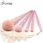 Face Makeup Brush Set - LIYING Private Label 5PCS Professional Synthetic Hair Holder