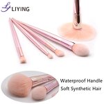 Face Makeup Brush Set - LIYING Private Label 5PCS Professional Synthetic Hair Holder