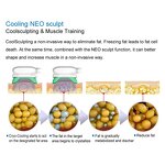 Fat Freezing Machine Manufacturer - 360 Cryo Therapy Fat Freezing Cryolipolysi Cool Body Sculpt