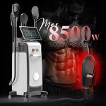 Fat Freezing Machine Manufacturer - 2 in 1 Cryo EMSs RF Muscle Building Fat Freeze 4 Handles