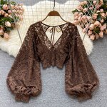Lace Blouse Manufacturer - Liu Ming Women Summer Sexy V Neck Puff Long Sleeve See Through