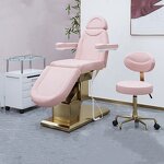 Beauty Bed Manufacturer - High-end Electric Foreign Lift Tattoo Dental Diagnosis Treatment Bed