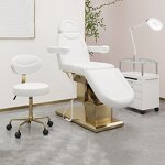 Beauty Bed Manufacturer - High-end Electric Foreign Lift Tattoo Dental Diagnosis Treatment Bed