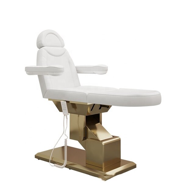 Beauty Bed Manufacturer - High-end Electric Foreign Lift Tattoo Dental Diagnosis Treatment Bed