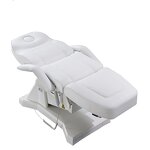 Massage Chair Manufacturer - Tattoo Chair Hydraulic Electric Bed 1 Motor and 3 Motor Beauty Table