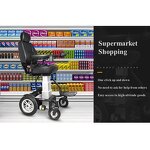 Electric Wheelchair Manufacturer - Lifting Fully Automatic Intelligent One Button for Disabled