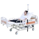 Medical Bed Manufacturer - Hot Sale Deluxe Multifunctional Electric With Toilet Table and ABS Guardrail