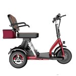 Mobility Scooter Manufacturer - CE Foldable 3 Wheels for Elderly Leisure Electric Tricycle Vehicle