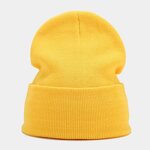 Beanies Manufacturer - Wholesale Knitted Adult Custom Logo 26 Colors for Winter Sports