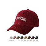 Baseball Cap Manufacturer - Custom Autumn Winter Sports Street Style Unisex Cotton Embroidered Logo