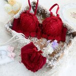 Women's Lingerie Set Manufacturer - 2025 Sexy Transparent Lace Bra Briefs Suits