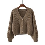 V-neck Cardigan Manufacturer - 2025 Fashion Long Sleeve Knitted for Women Spring Autumn