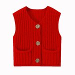 V-neck Knit Vest Manufacturer - Button Waistcoat Sleeveless for Women Spring Autumn