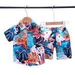 Boys' 2-Piece Set Manufacturer - 2024 Summer Short Sleeved Printed Shirt Casual