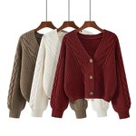 V-neck Cardigan Manufacturer - 2025 Fashion Long Sleeve Knitted for Women Spring Autumn