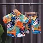 Boys' 2-Piece Set Manufacturer - 2024 Summer Short Sleeved Printed Shirt Casual