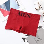 Men's Underwear Manufacturer - 2025 Summer Breathable Seamless Mid Waist Quadrangle