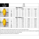 Chiffon Flare Dress Manufacturer - 2025 O-Neck Half-Sleeve Ruffles Plus Size Office