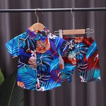 Boys' 2-Piece Set Manufacturer - 2024 Summer Short Sleeved Printed Shirt Casual