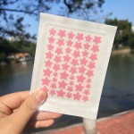 Acne Patch Manufacturer - Korean Acne Blemish Pimple Master Patch Private Label Spot Treatment