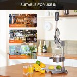 Juicer Manufacturer - 2025 New Style Manual Hand Stainless Steel Lemon Squeezer Multi-Function