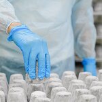 Disposable Nitrile Gloves Manufacturer - GMC 100% NBR 9 Inch Blue Powder Free Examination Gloves