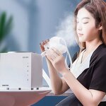 Eye Nebulizer Manufacturer - Home Use Desktop Ultrasonic Atomization for Skin Rejuvenation Face Lift Eye Care