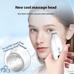 Beauty Instrument Manufacturer - Two-in-One Electric 4 Color Light French Pattern Photon Massage Ice Roller Waterproof