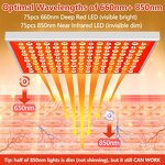 Red Light Therapy Lamp Panel Manufacturer - For Body & Face with Stand 660nm & 850nm Infrared