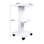Salon Trolley Manufacturer - Beauty Spa Hairdressing Metal for Placing Beauty Equipment Best Selling