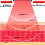 Red Light Therapy Lamp Manufacturer - 30w Standing for Body & Face Pain Relief 660nm/850nm