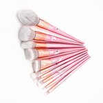 Makeup Brush Set Manufacturer - Hot Sell Fashionable 10pcs Foundation Make up Brushes with Shell Cosmetic Bag