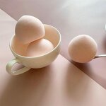 Makeup Sponge