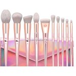 Makeup Brush Set Manufacturer - Hot Sell Fashionable 10pcs Foundation Make up Brushes with Shell Cosmetic Bag